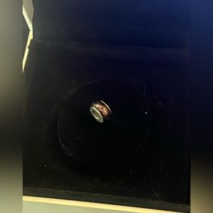 Purple Pandora Bead/Charm